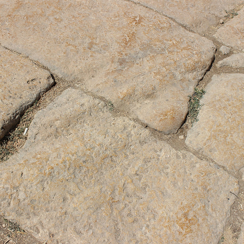 Traces of Chariot Tracks on the Limestone Pavement of the Ancient Roman City of Jerash, Jordan (LEO Design)