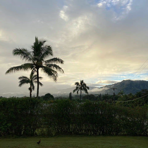 The Sunset View from My Brother's Front Deck, Wailua, Kauai, Hawaii (LEO Design)