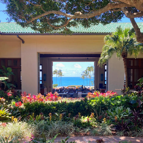 The Sea as Seen from the Lobby Courtyard of the Grand Hyatt Kauai in Poipu, Hawaii (LEO Design)