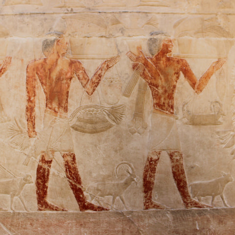 Paintings Within the Tomb of Kagemni in Saqqara, Egypt (LEO Design)