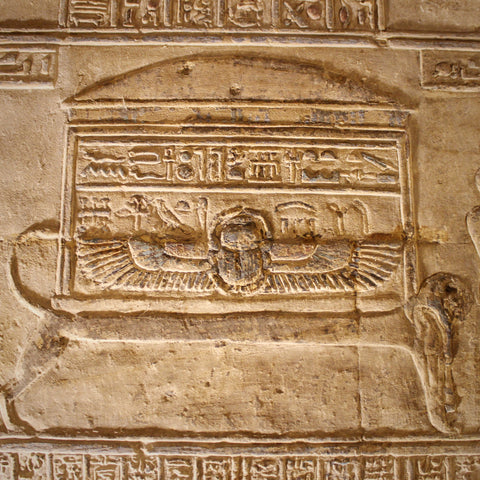 Bas Relief Winged Scarab in the Temple of Dendara, Qena, Egypt (LEO Design)