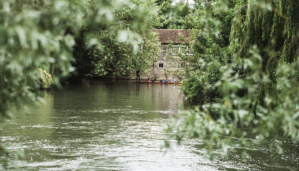 Punting in Cambridge