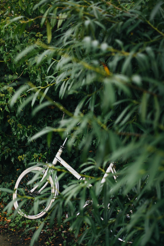 bike in the nature