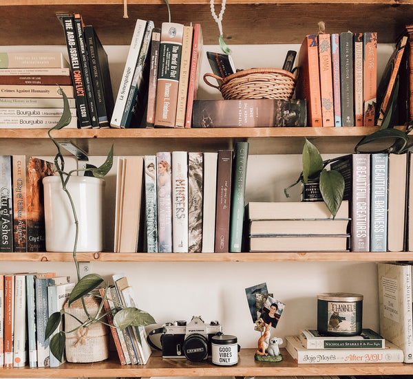 bookcase with books & plants