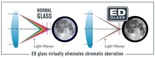 ED Glass comparison