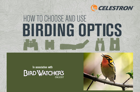 How to choose birding optics