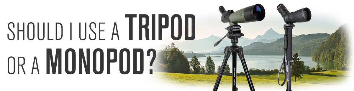 Should I use a Tripod or a Monopod?