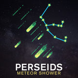 Perseid Meteor Shower