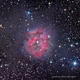 The Cocoon Nebula