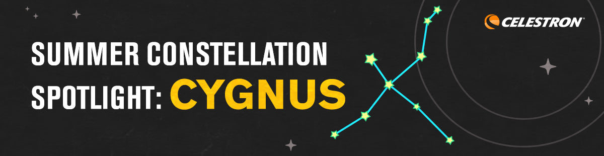 Summer Spotlight Constellation: Cygnus