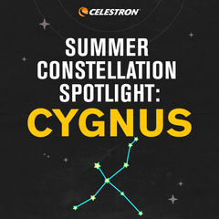 Constellation Spotlight Cygnus