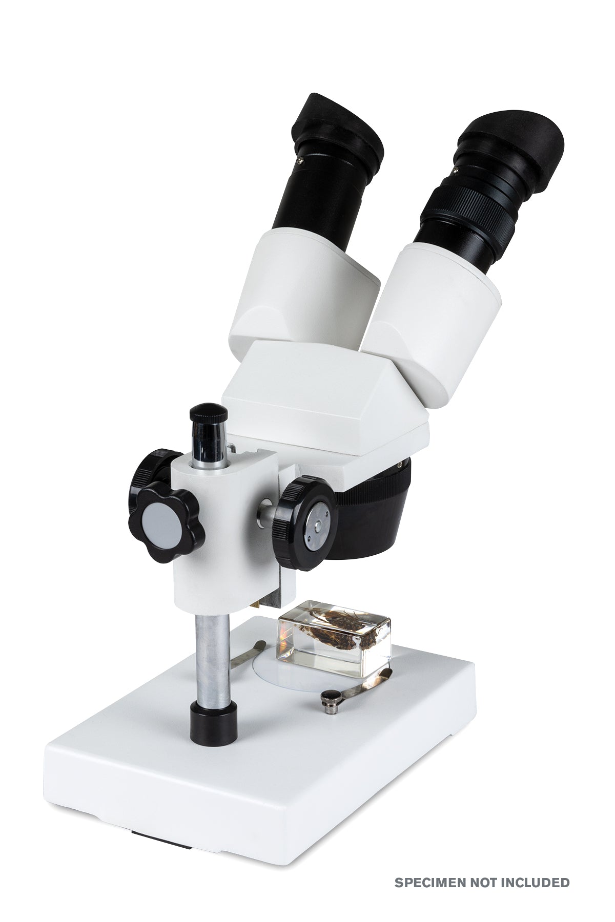 Celestron Labs S1030N Stereo Microscope