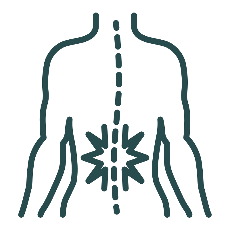 vertebrae support mattress