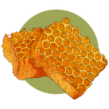 Bees wax illustration