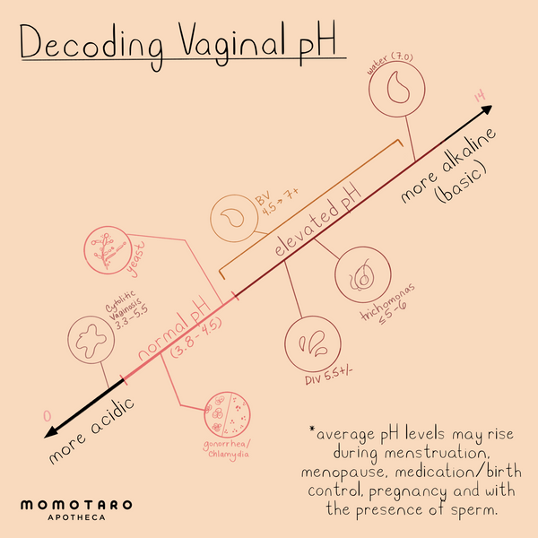 10 Vaginal Smells & What They Mean About Your Health – Momotaro