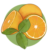 Sweet Orange Illustration