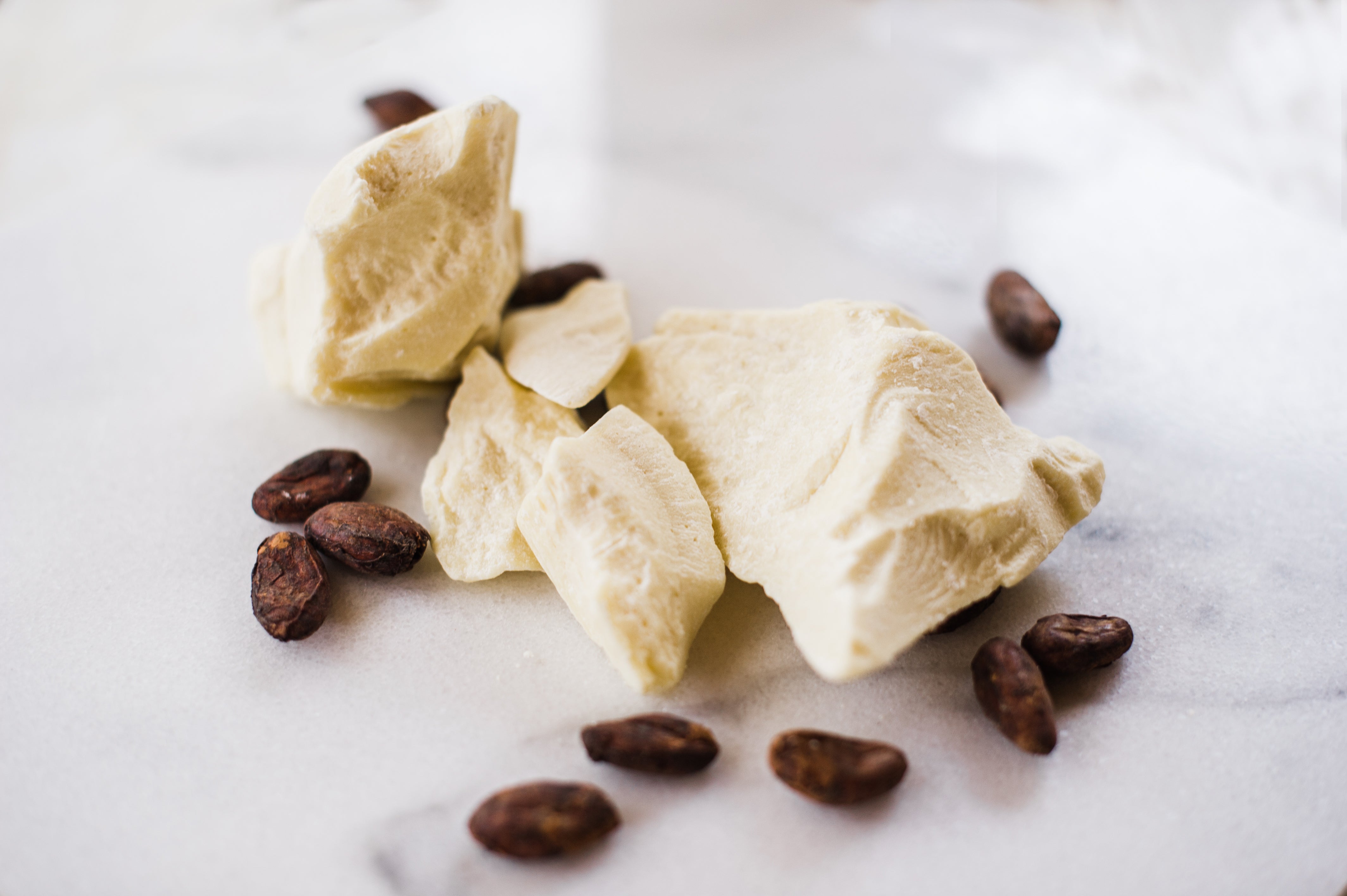 The Amazing Cocoa Butter – 6 Reasons to Make It Part of Your Health &amp; –  Wild Mountain Chocolate