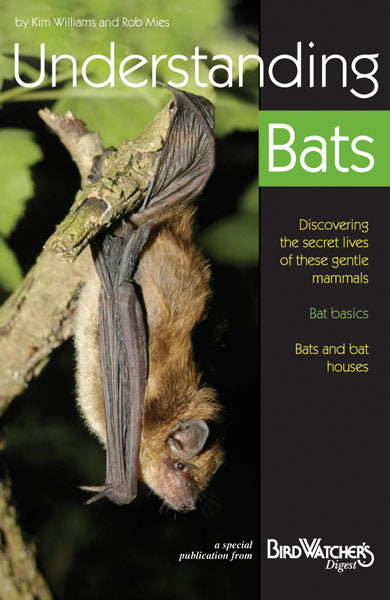 Understanding Bats