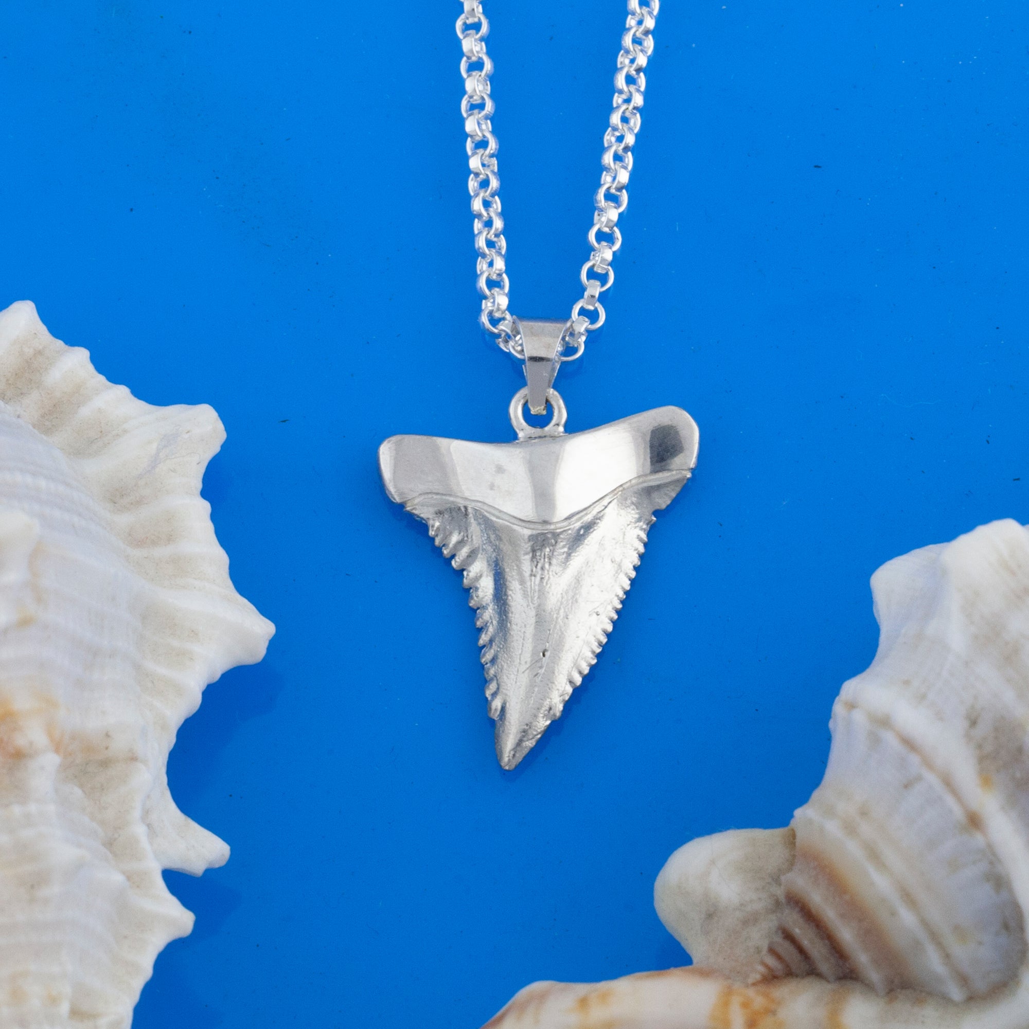 sand shark tooth necklace calamity