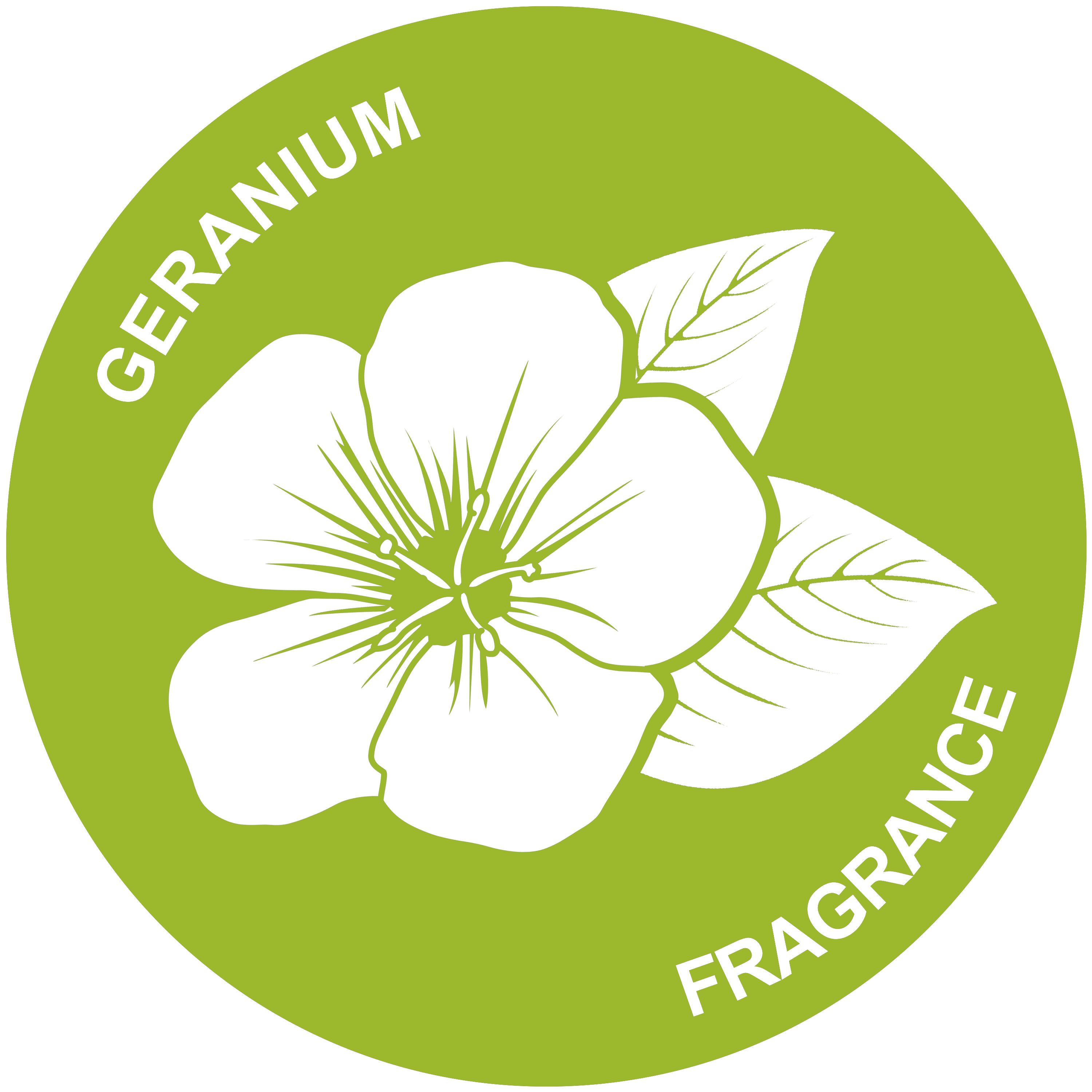 Geranium Fragrence