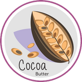 Cocoa Butter Natural Skin Care Ingredient