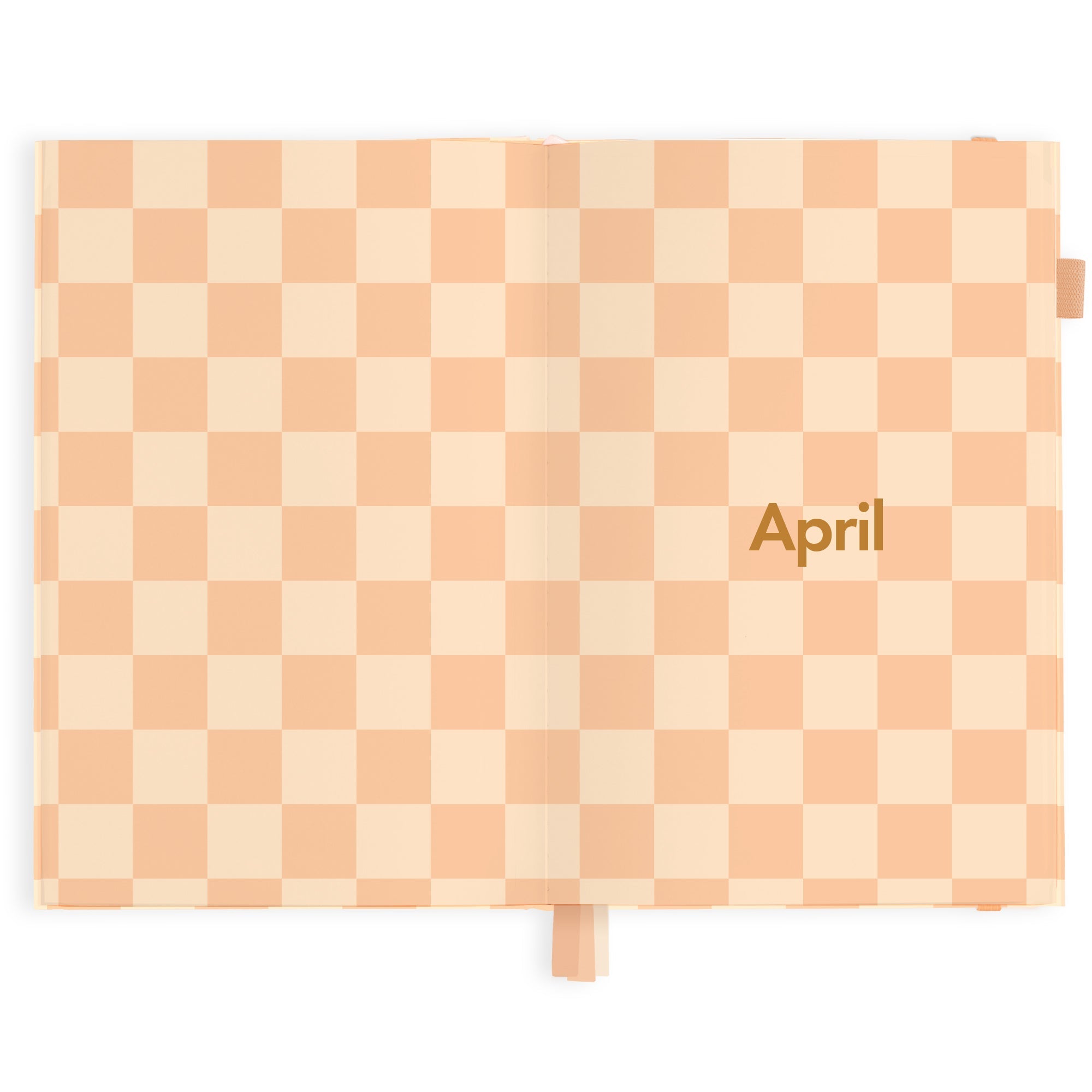 2025 A5 Horizontal Planner - Salmon Check