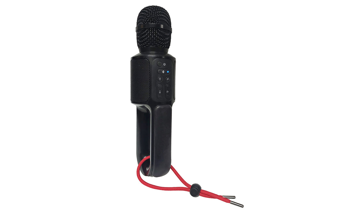 Singing Machine Fiesta Go Portable Karaoke System Black SML640 - Best Buy