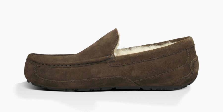 ugg ascot bomber slipper