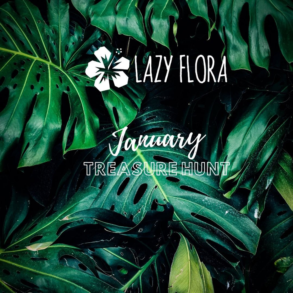 Treasure Hunt Competition – Lazy Flora