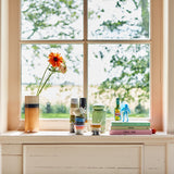 window with flower vases