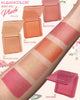 PLUSH-BLUSH PALETTE