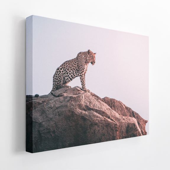 1.5" Acoustic Art Panel, Animals B - Overtone Acoustics product image