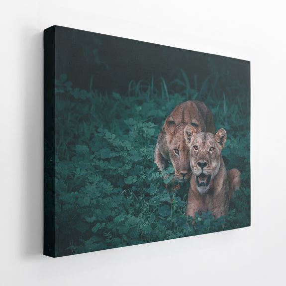 1.5" Acoustic Art Panel, Animals C - Overtone Acoustics product image