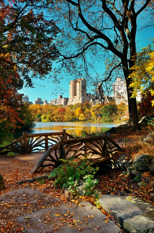 fall in central park new york city