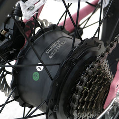 Hub motor