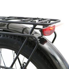 Rear rack and fender
