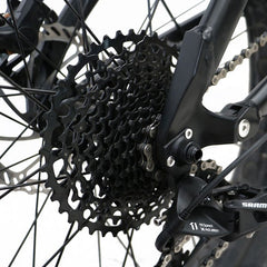 SRAM 11 Speed Gearing System