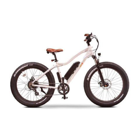 BAM Power Bike EW Nomad eBike