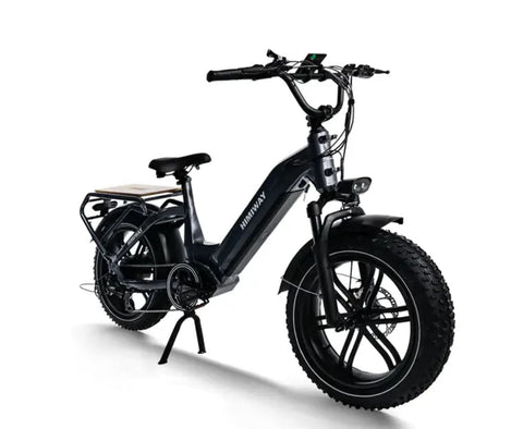 Himiway Big Dog electric bike