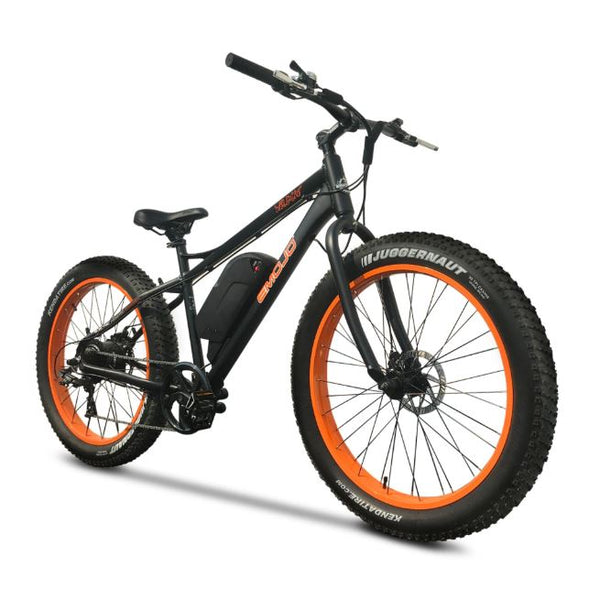 electric cycle battery price