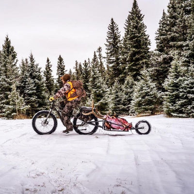 rambo bike trailer