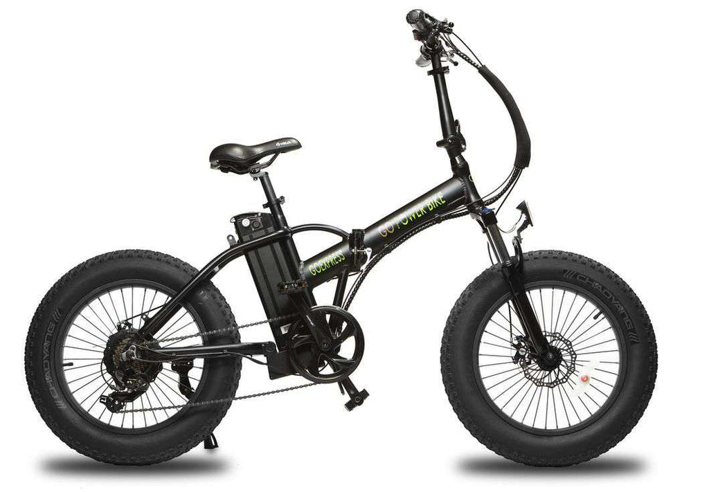 Go Power Bike GoExpress – eBike Generation