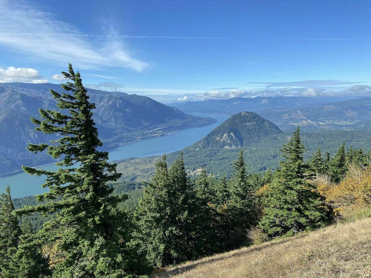 Dog Mountain Trail Hike and View of Columbia River Gorge