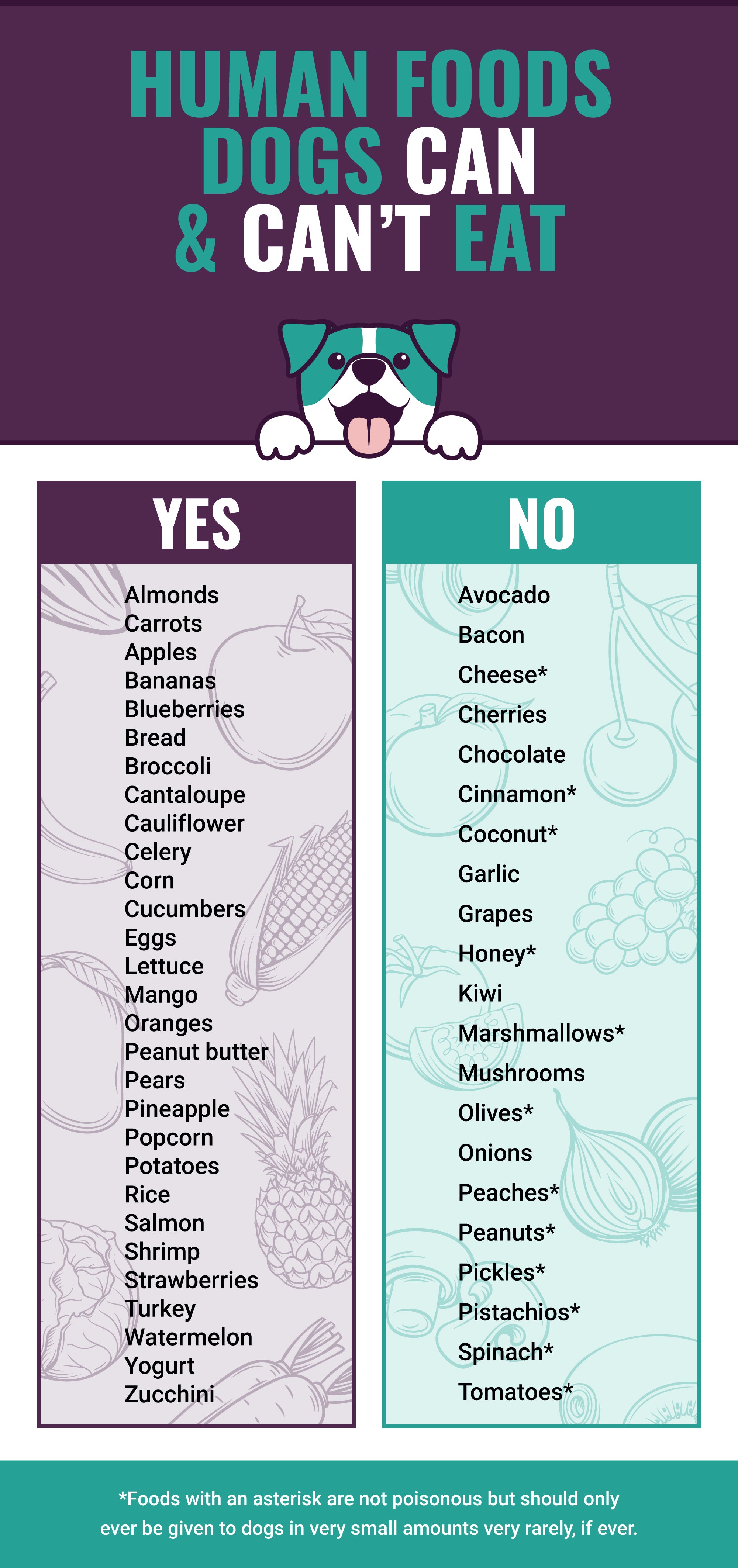 Human foods for dogs: Which foods are safe for dogs?