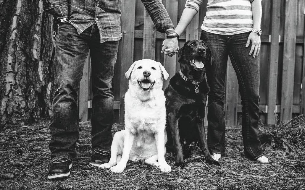 The King Duke's family with their dogs modeling premium pet products