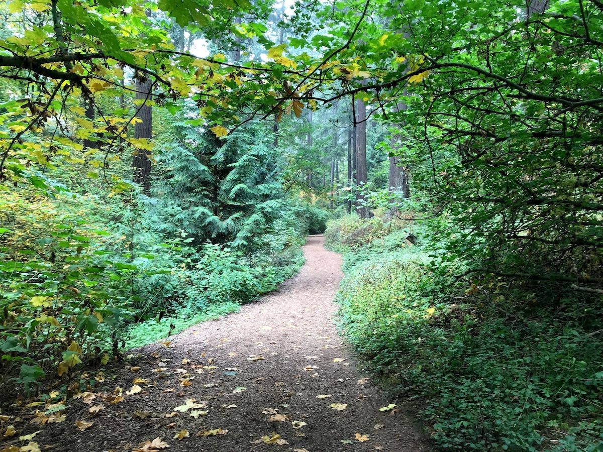 Mount Tabor Park Loop Off-Leash Hiking Trail for Dogs