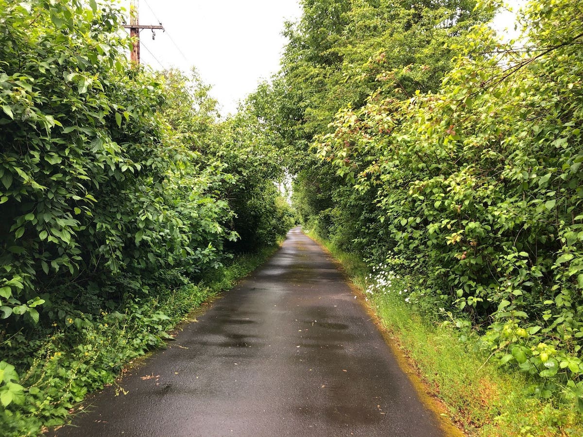 Springwater Corridor Trail in Portland