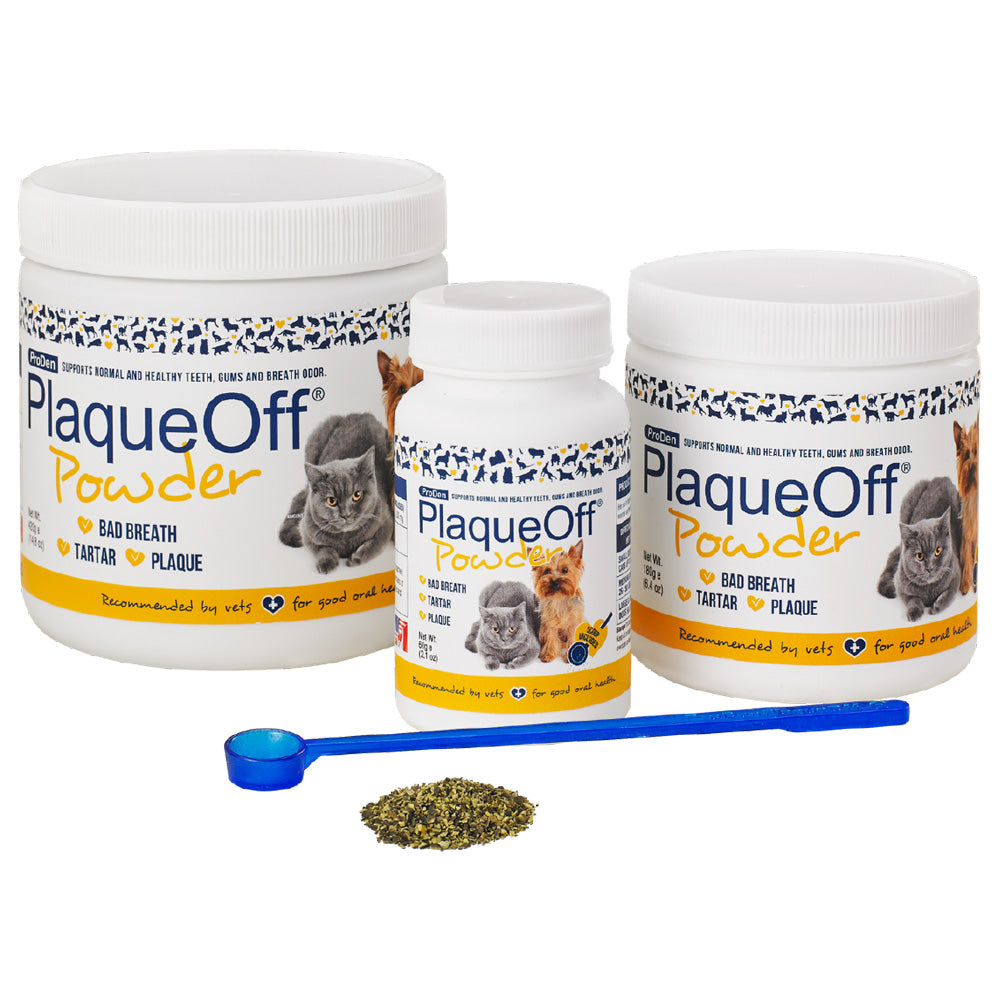 dental powder for dogs