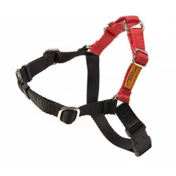 wonder walker cruiser leash