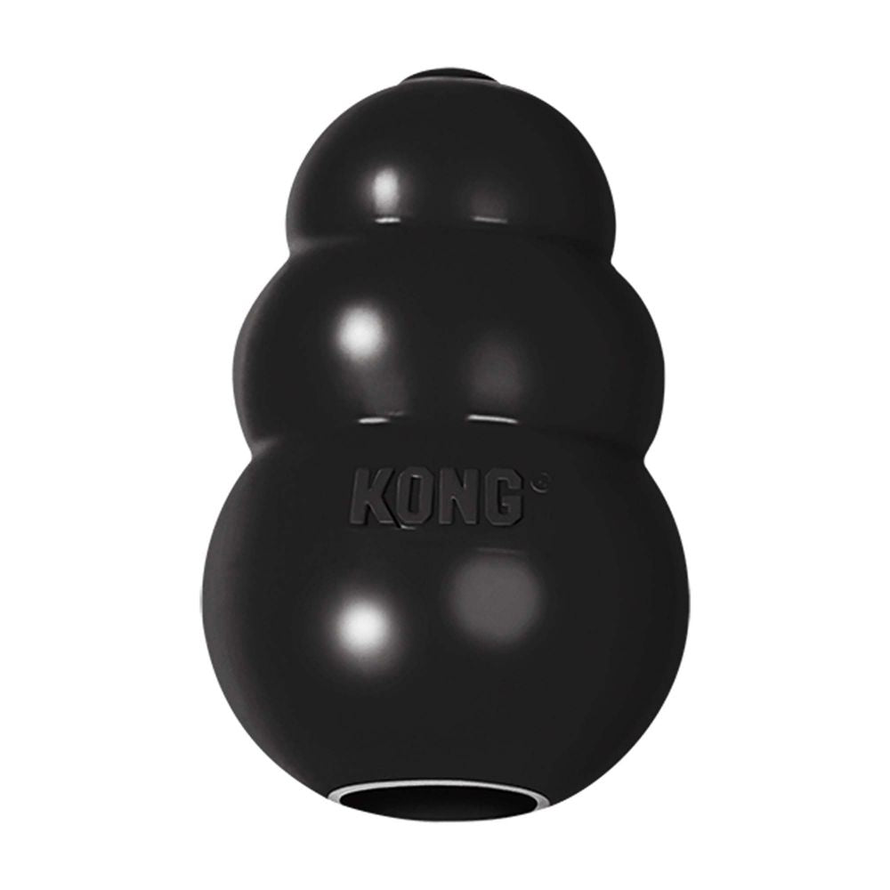 Kong Dog Toy: Classic Red, Black and Blue Versions – Pet Expertise